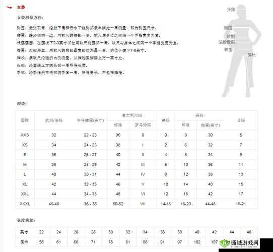 欧亚尺码专线欧洲 B1B1：欧洲专线服务详解